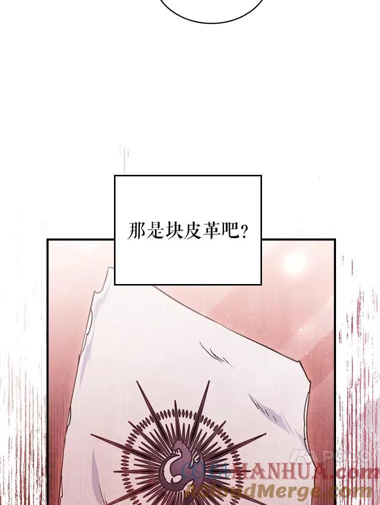 43.皮革和纹样 第31页