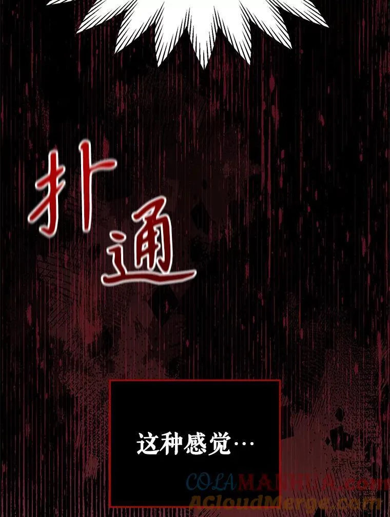43.皮革和纹样 第34页