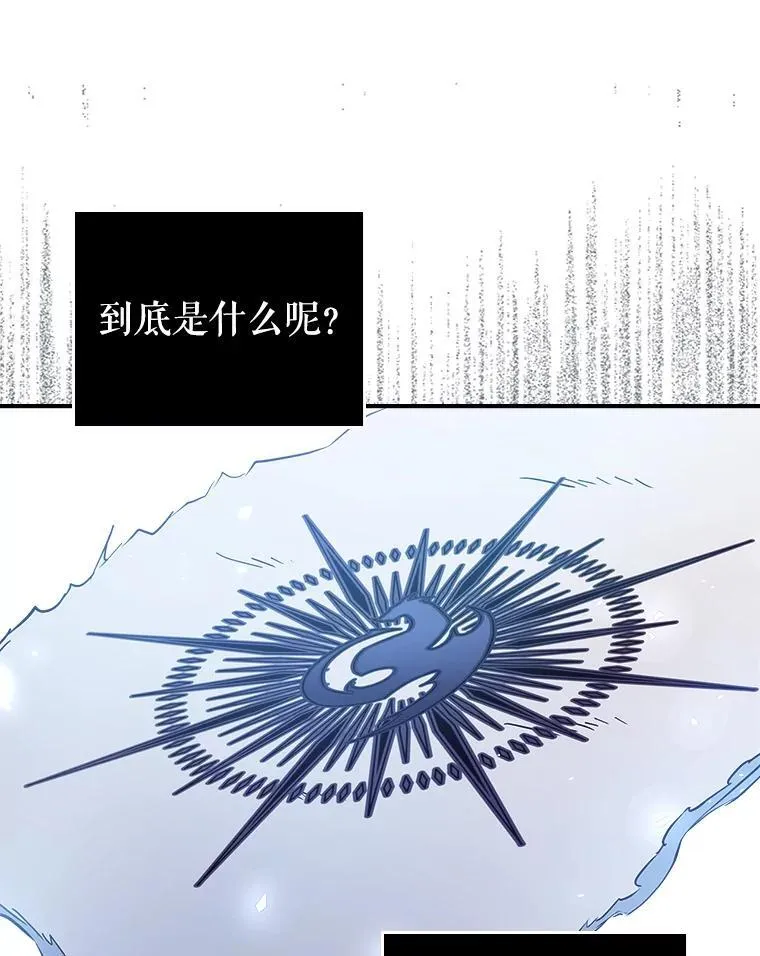 43.皮革和纹样 第42页
