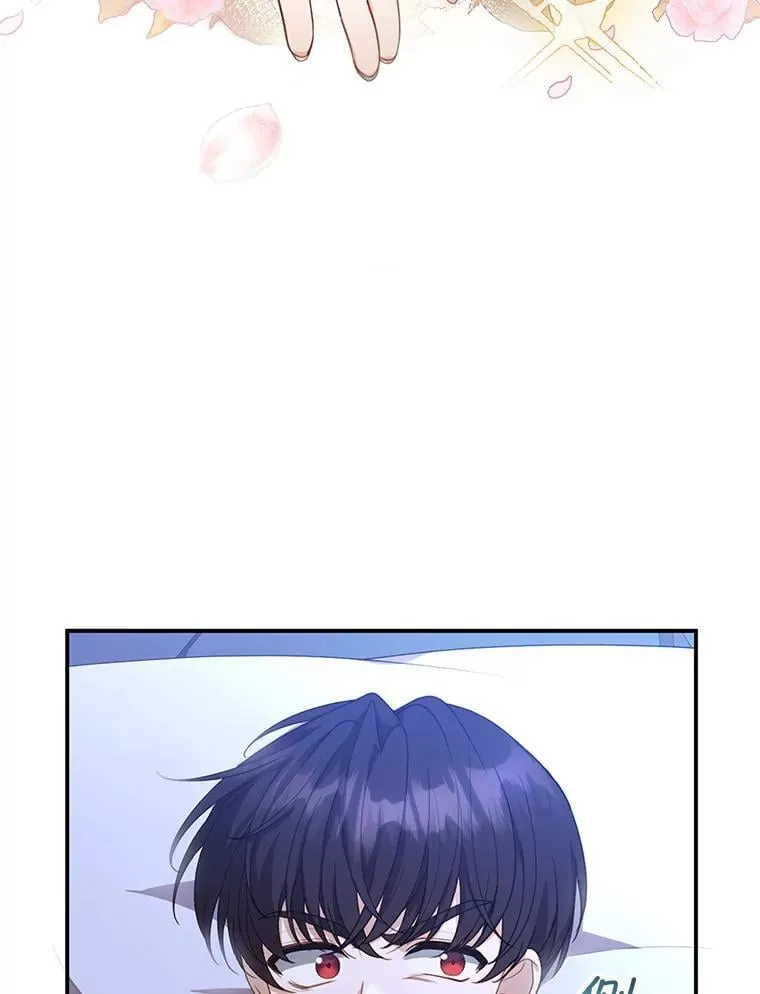 3.约定 第26页