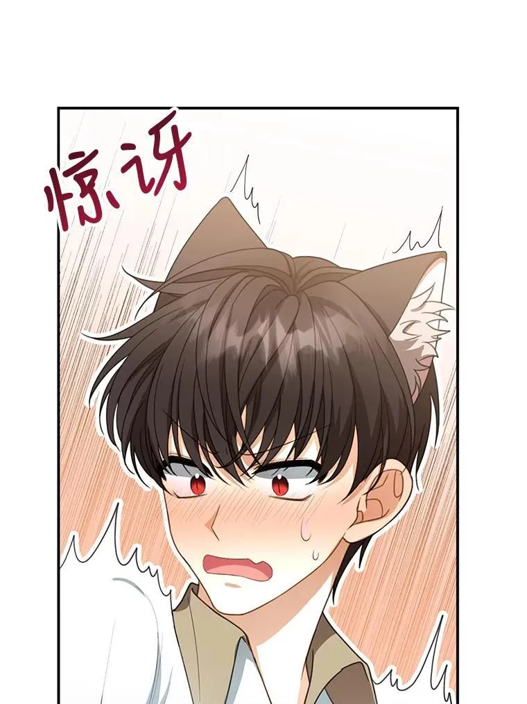 3.约定 第122页