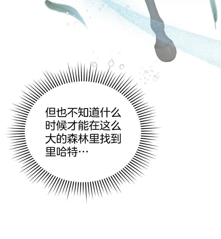 8.里哈特的身世 第24页
