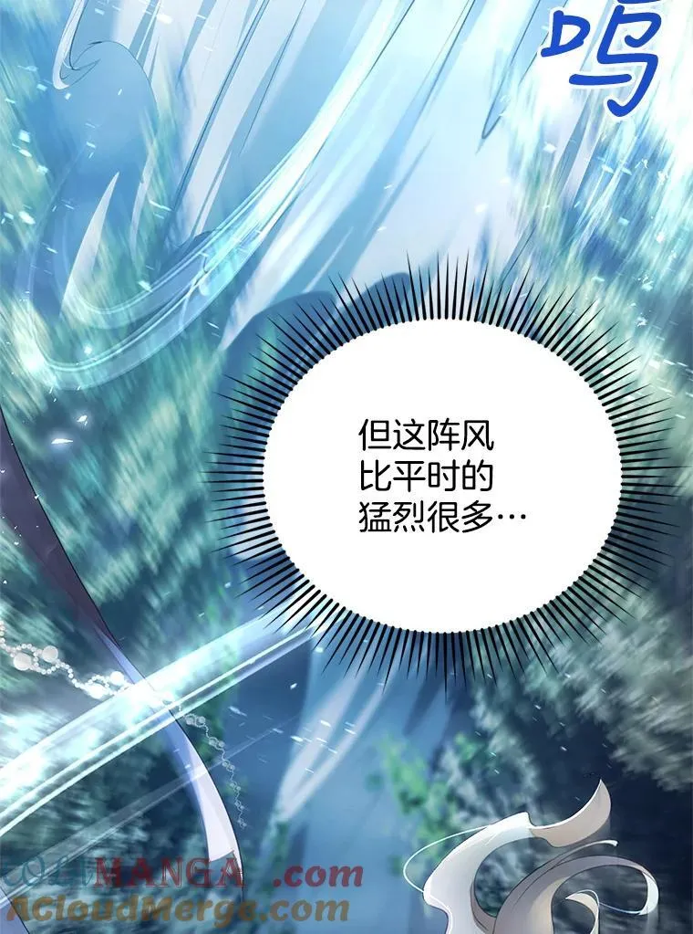 8.里哈特的身世 第29页