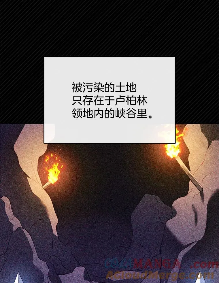 23.被污染的土地 第13页
