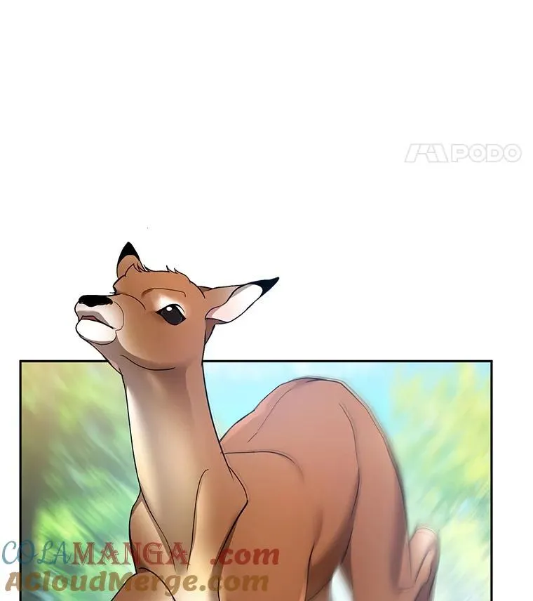 37.狩猎大会（2） 第61页