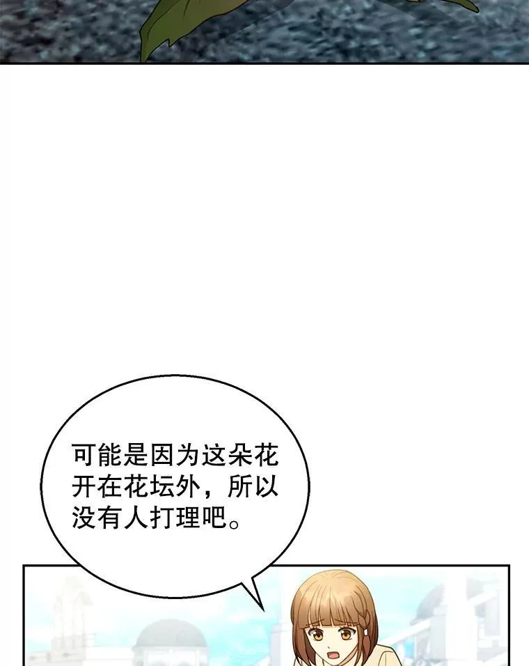 42.三顾神殿 第28页