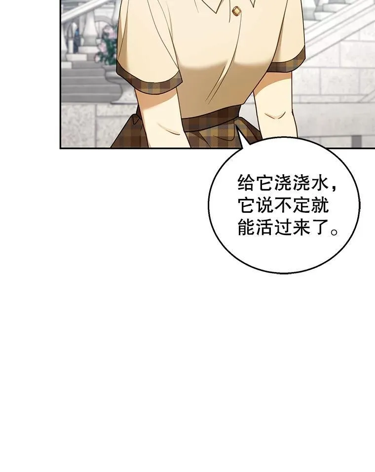 42.三顾神殿 第31页