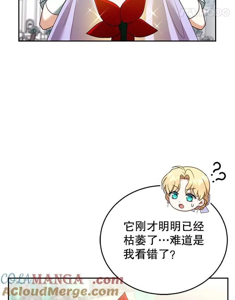 42.三顾神殿 第37页