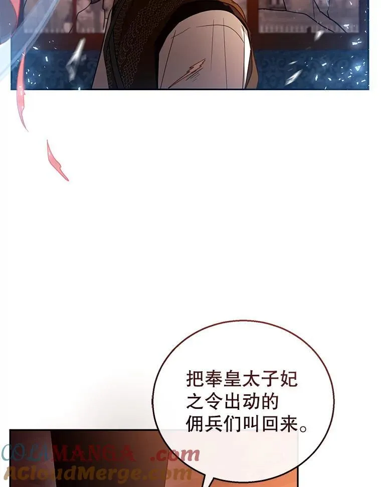 45.佣兵公会 第97页