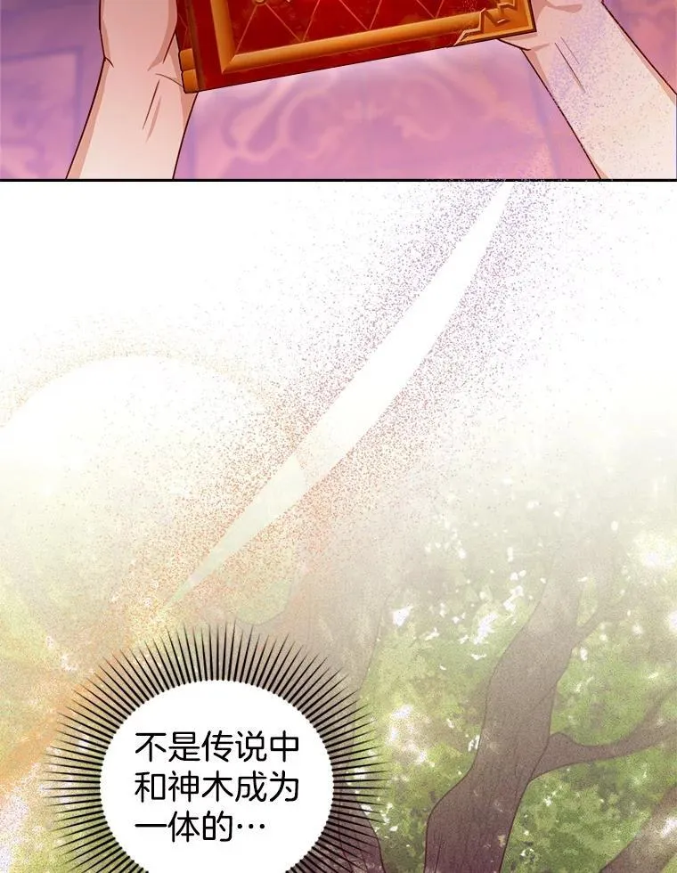 85.爬上顶层 第123页