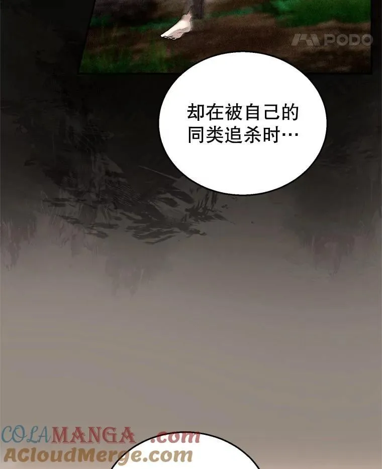 101.受伤的魔族少年 第61页