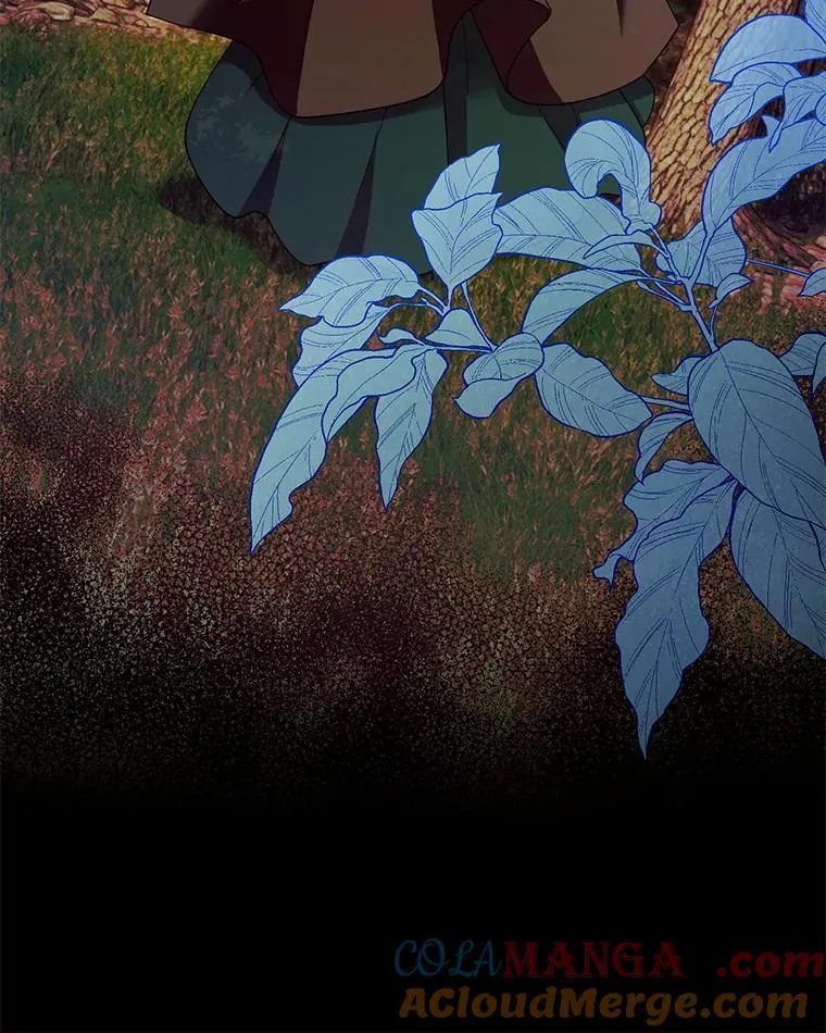 90.寻找神木 第53页