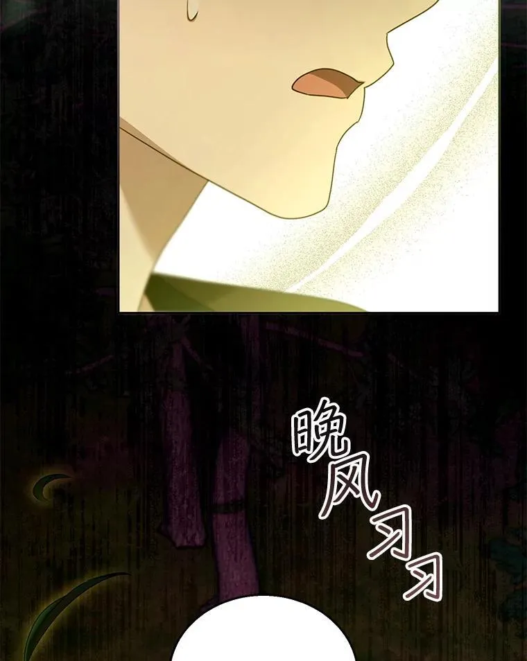 90.寻找神木 第127页