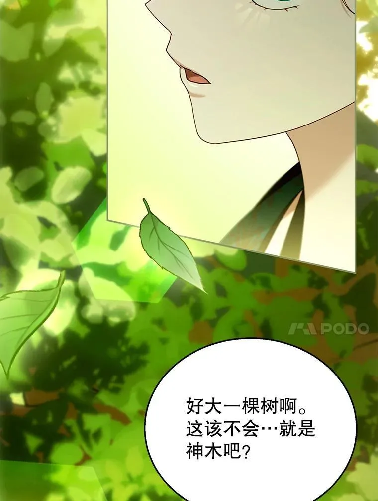 91.反抗命运 第10页