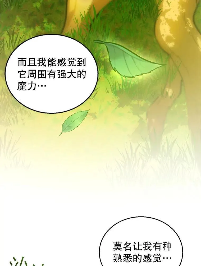 91.反抗命运 第12页