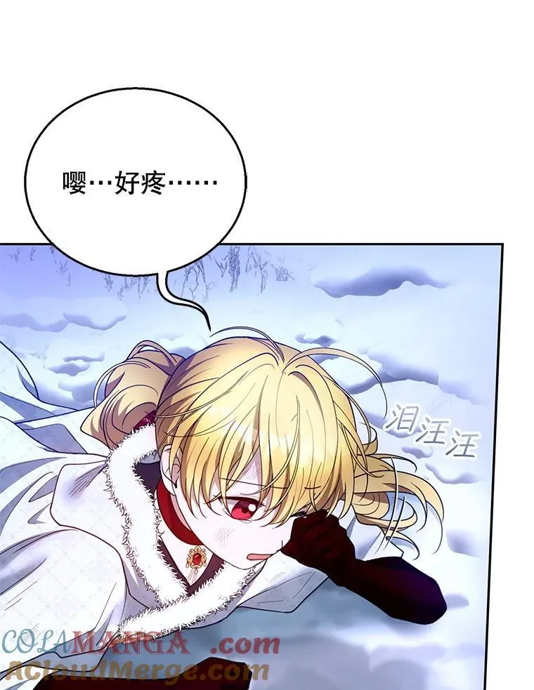 110.棕熊出没 第25页