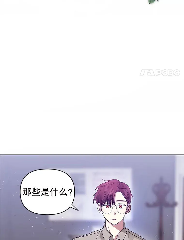 7.山茶花 第11页
