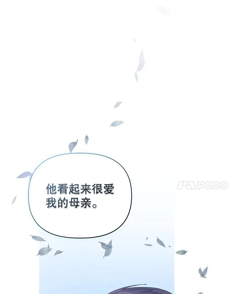 7.山茶花 第14页
