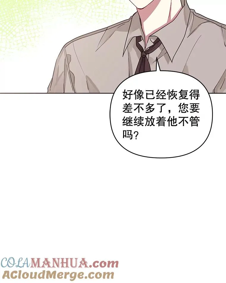 7.山茶花 第33页