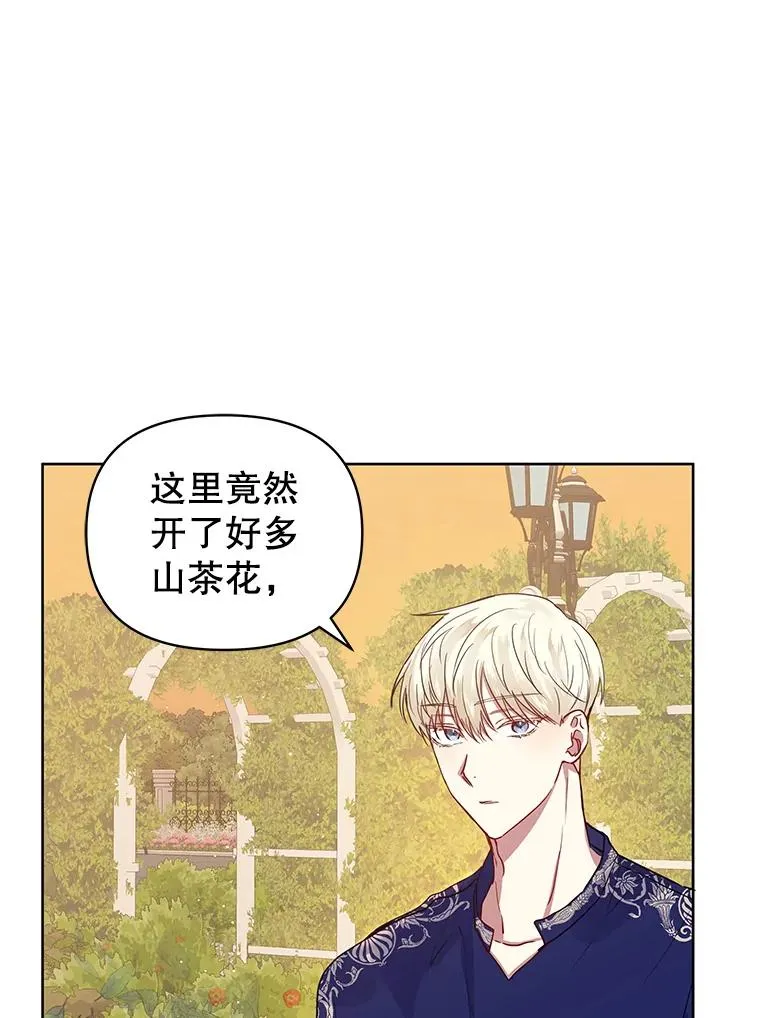 7.山茶花 第107页