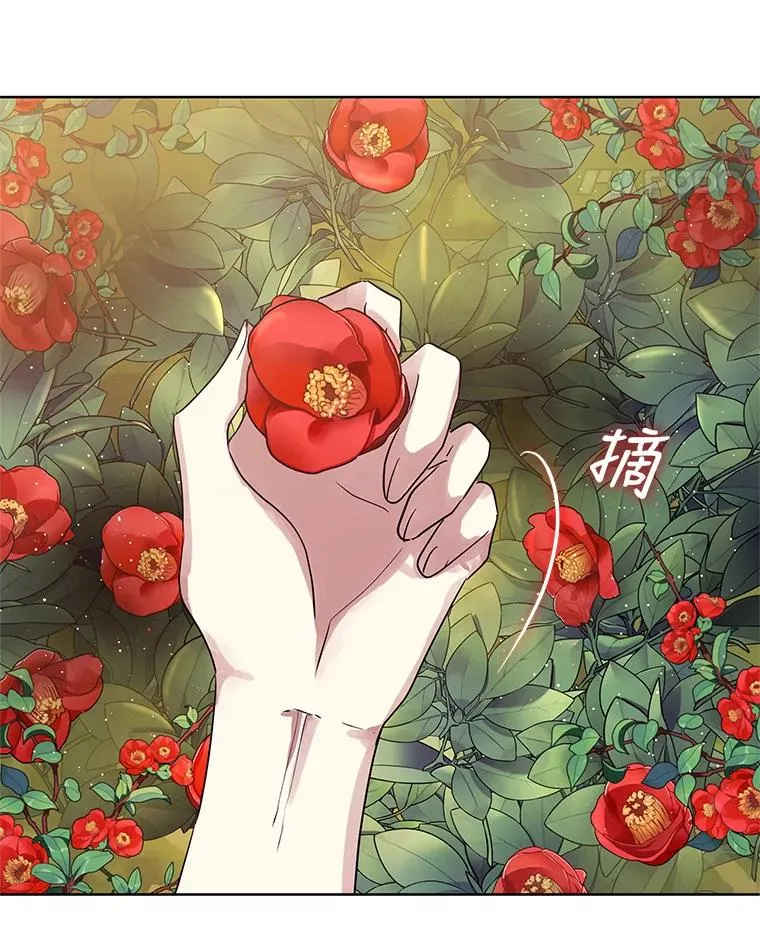 7.山茶花 第112页