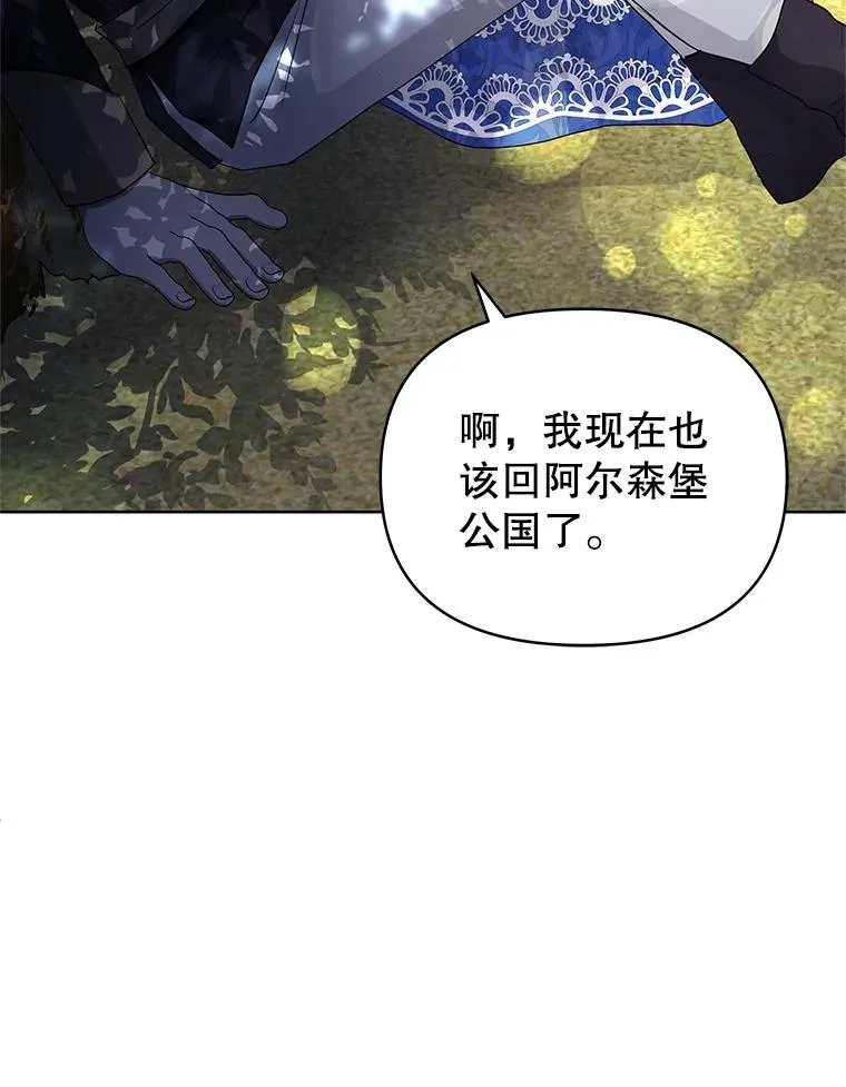 31.投资说明会 第95页