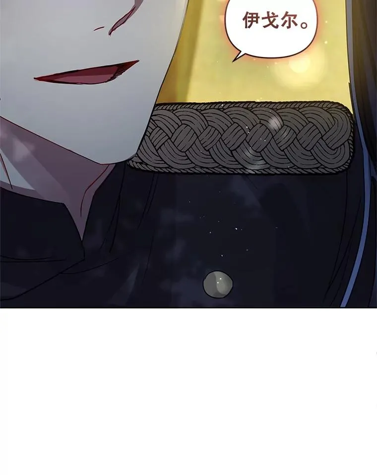 31.投资说明会 第102页