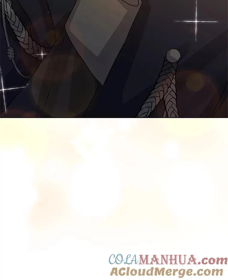 31.投资说明会 第109页