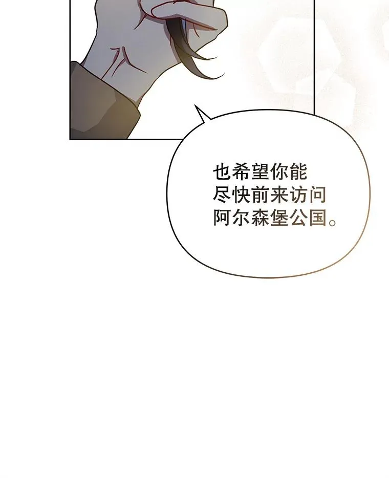 31.投资说明会 第111页