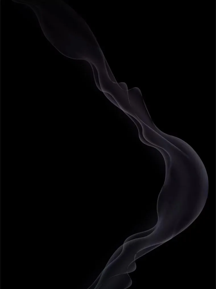33.对峙 第62页