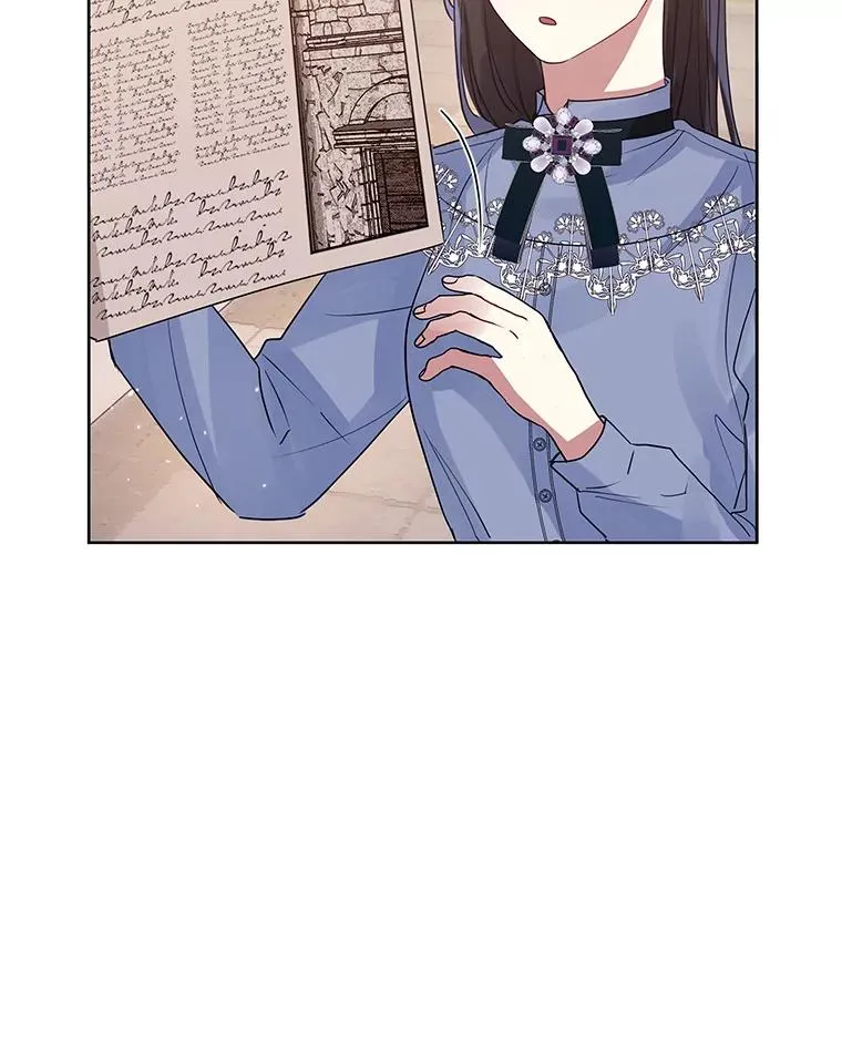 43.山茶花的花语 第22页