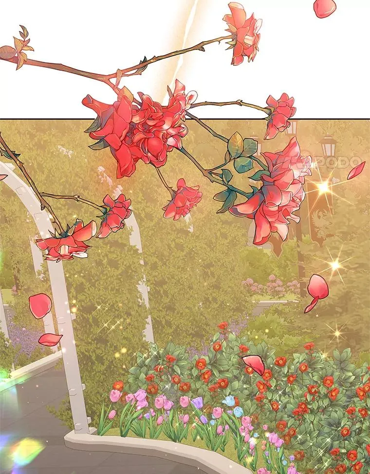 43.山茶花的花语 第35页