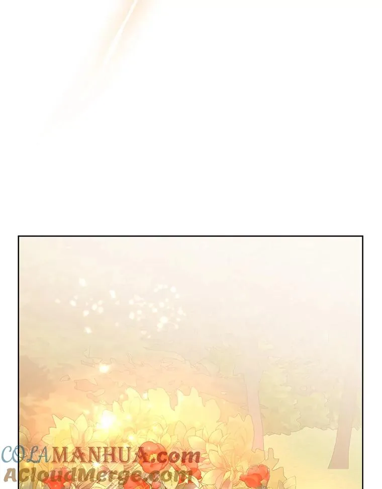 43.山茶花的花语 第37页