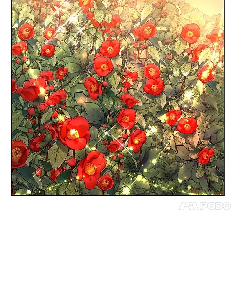 43.山茶花的花语 第38页