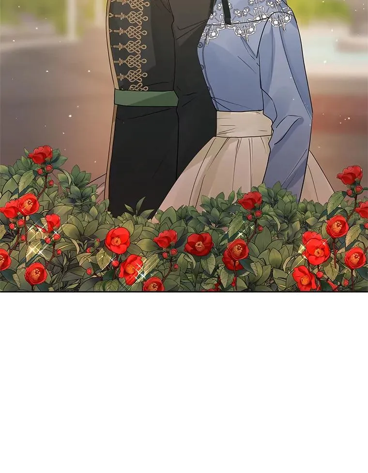 43.山茶花的花语 第40页