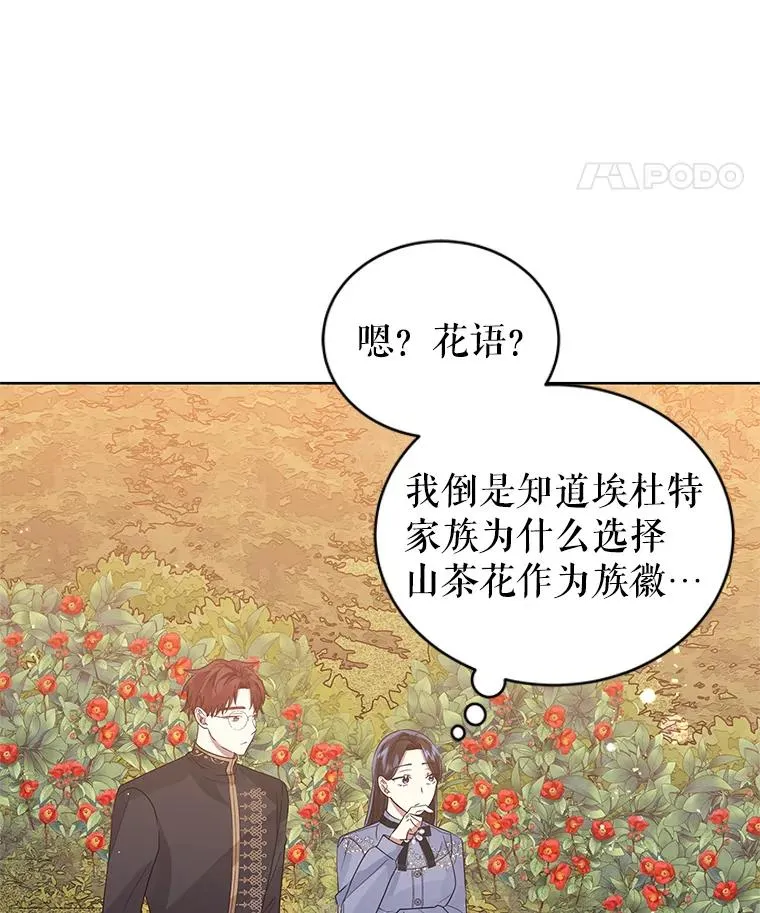 43.山茶花的花语 第52页