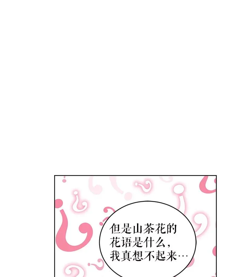 43.山茶花的花语 第54页