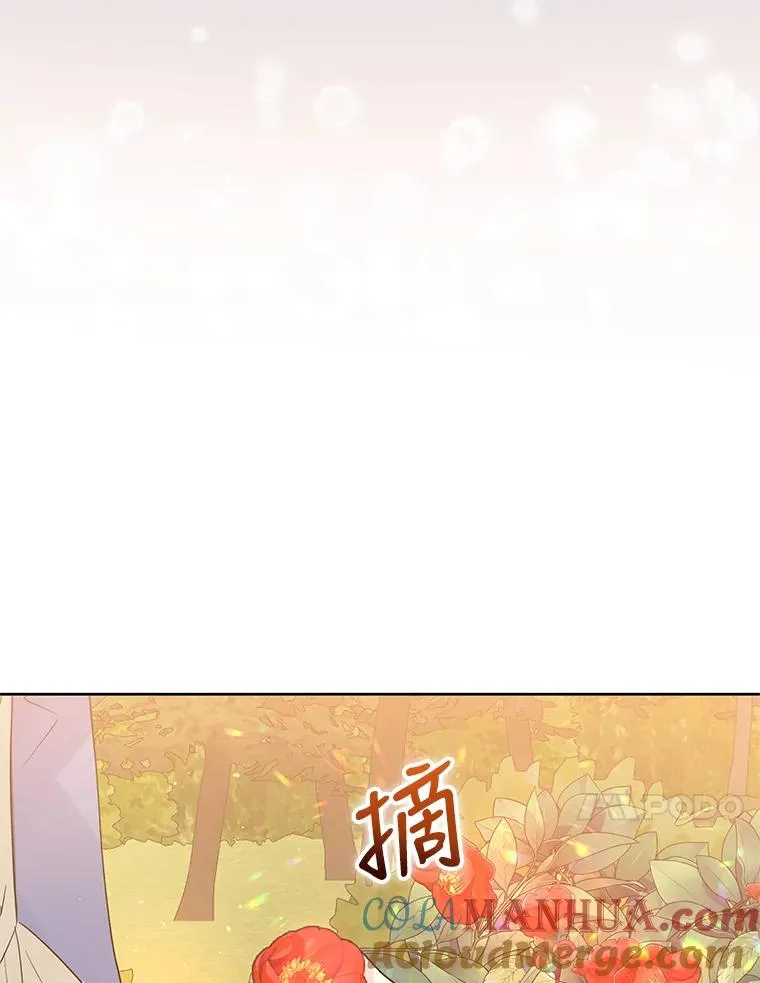 43.山茶花的花语 第65页