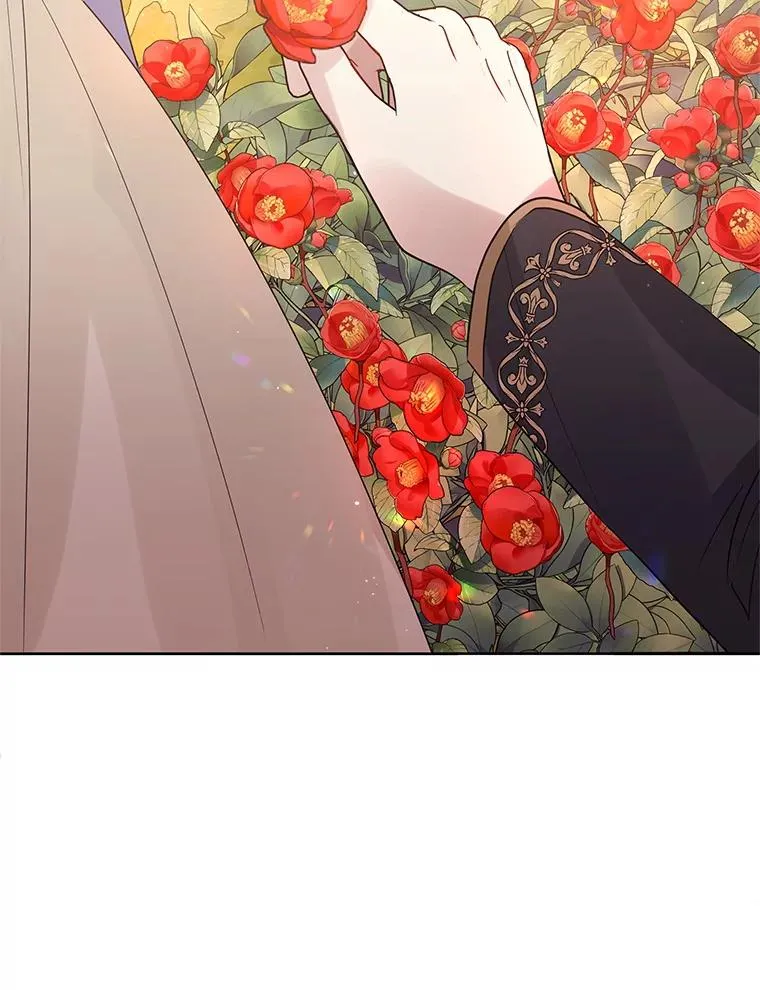 43.山茶花的花语 第66页