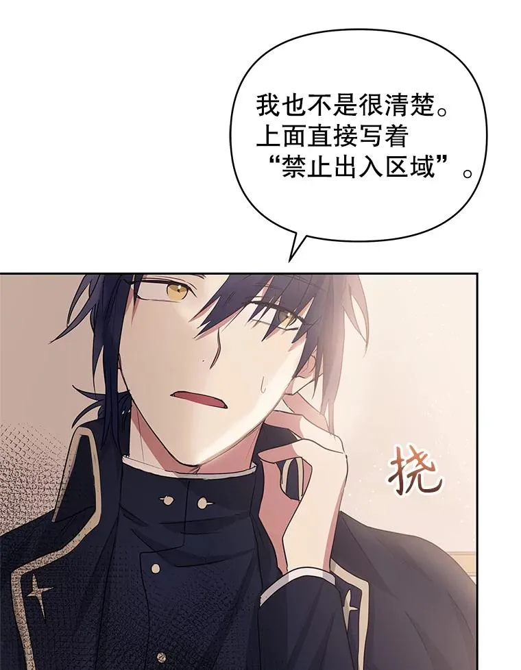 51.奇怪的府邸 第95页
