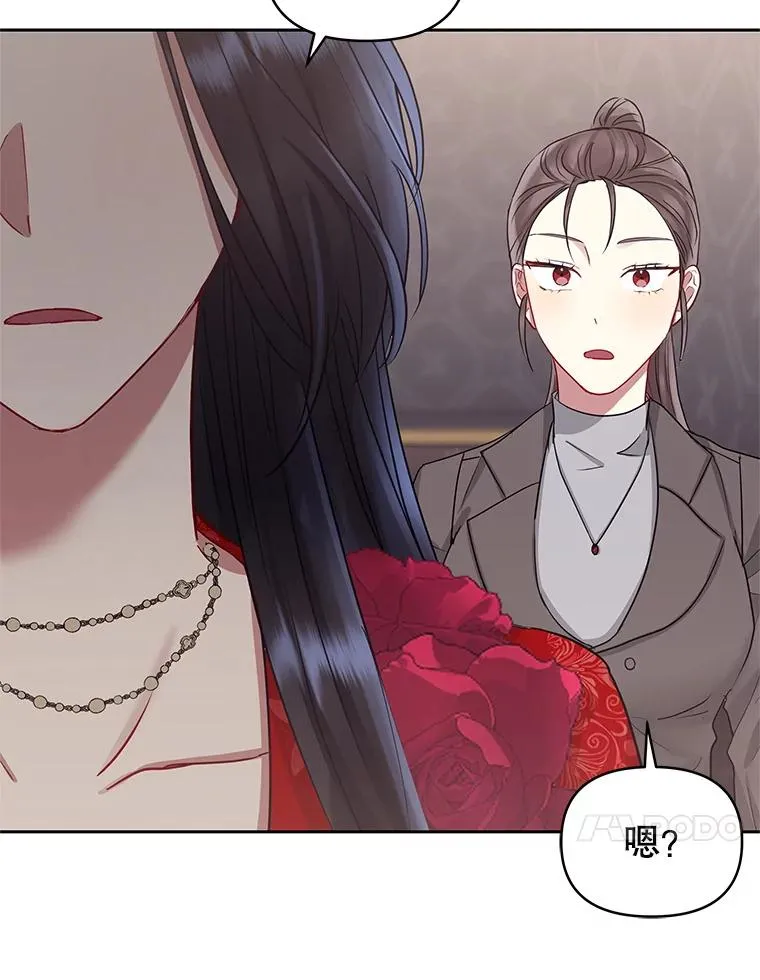54.访问杜布莱娜 第23页
