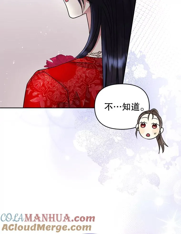 54.访问杜布莱娜 第25页