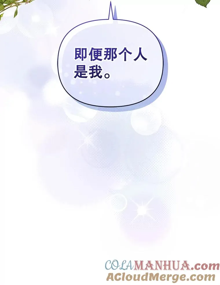 54.访问杜布莱娜 第29页