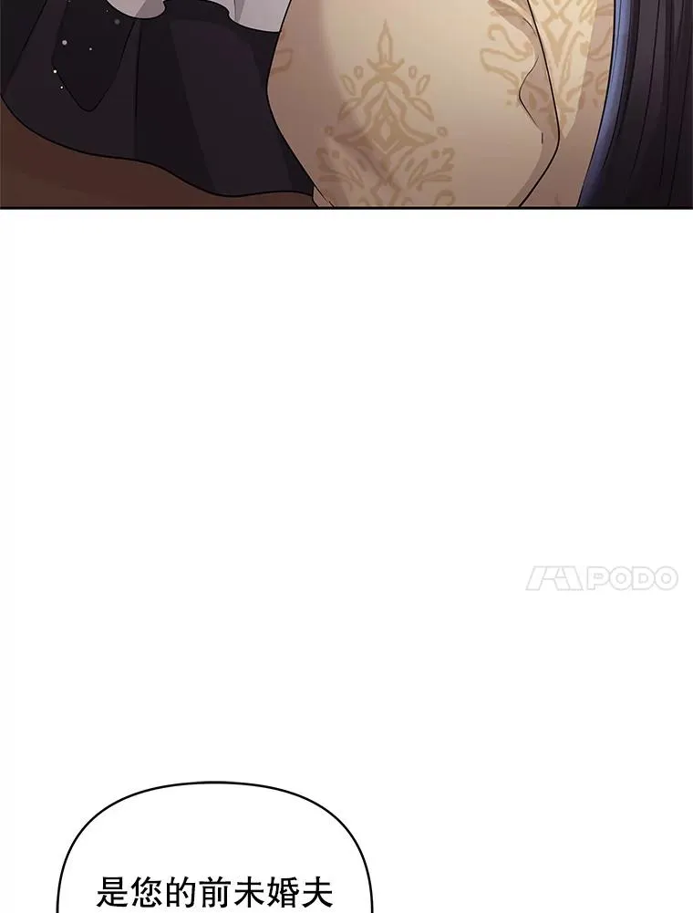 54.访问杜布莱娜 第43页