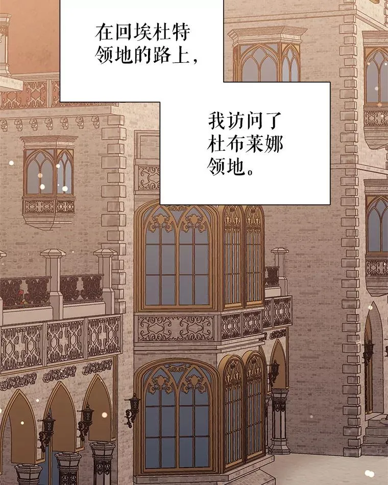 54.访问杜布莱娜 第76页