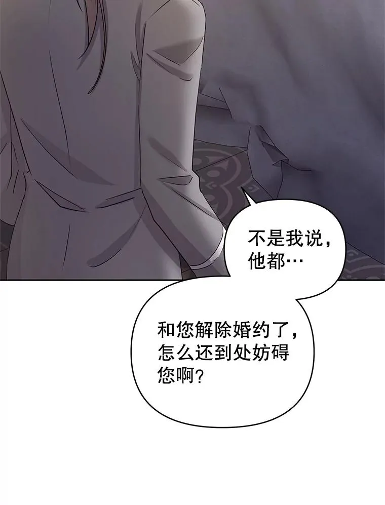 54.访问杜布莱娜 第98页