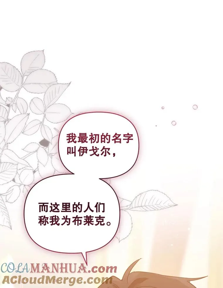 25.阿尔森堡公王 第37页