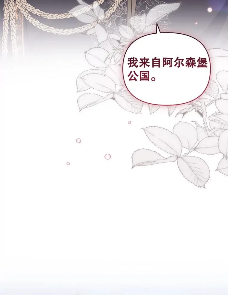 25.阿尔森堡公王 第39页