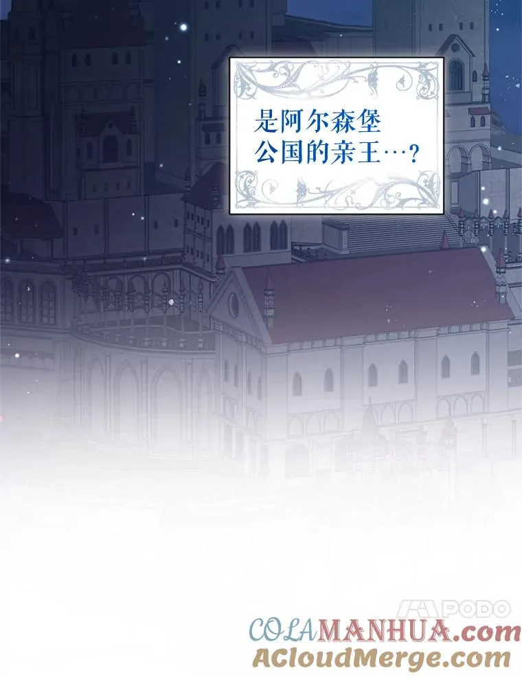 25.阿尔森堡公王 第41页