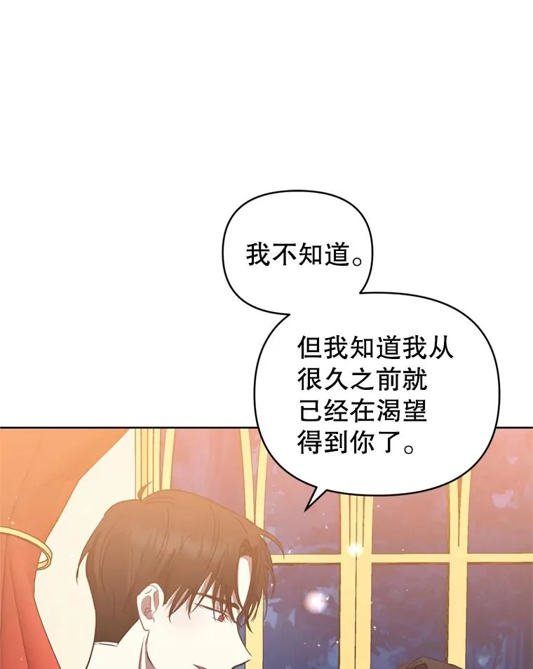 25.阿尔森堡公王 第74页